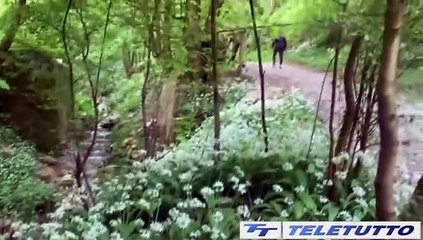 Video News - Parco delle Colline, rinnovati i patti