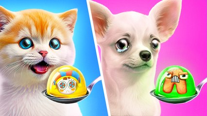 Watch your Kitten's Food   *Rich Cat and Poor Dog in Digital Circus*