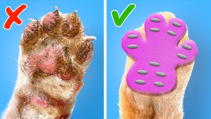 Astuces et gadgets mignons pour nos amis à fourrure 