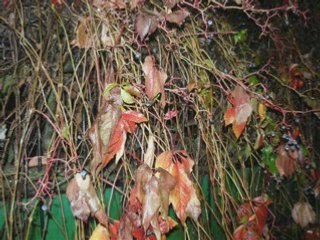 Recopilacion mi taller 14