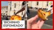Casal passa horas em fila de restaurante em Lisboa e tem comida roubada por pássaro