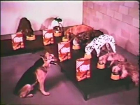 1960s Gravy Train TV commercial with Rin Tin Tin