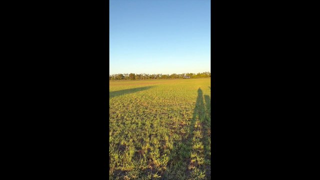 Breaking the Australian record for the most touch-and-go circuits during daylight hours | March 12, 2024 | Queensland Country Life