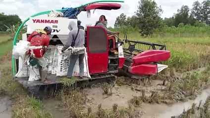 combine harvester yanmar AW 70 V