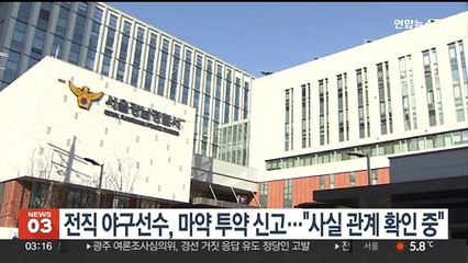 '국대 출신' 전직 야구선수, 마약 투약 신고…"사실관계 확인 중"