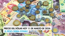 Precio del dólar hoy 11 de marzo de 2024: El peso cierra estable