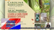 Pag-aalaga sa mga kawayan, tatalakayin sa 24th Bamboo Training/Seminar | UB