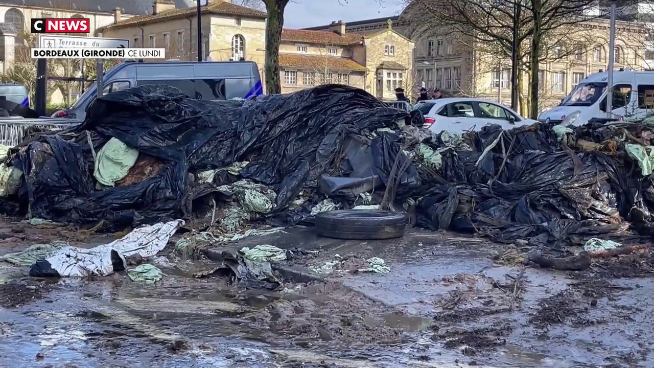 Une centaine d’agriculteurs en colère a pris d'assaut le Conseil régional à Bordeaux