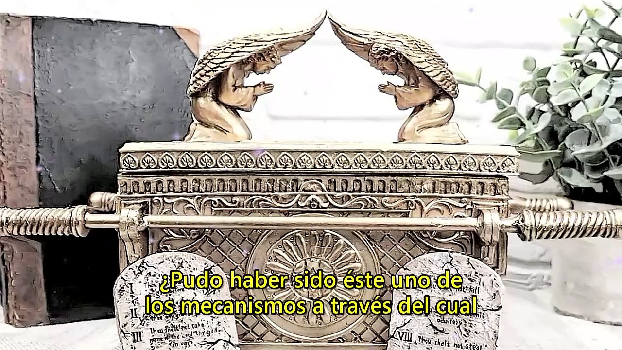 11 MARZO 2024 | LA RESONANCIA SCHUMANN Y EL ARCA DE LA ALIANZA