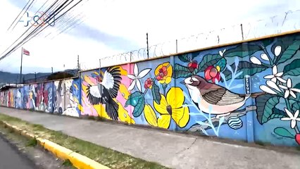 mqn-hatillo trabaja por ser una ciudad ecológica.-110324