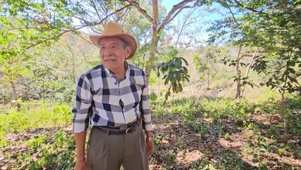 mqn- Con 94 años indígena Boruca trabaja la tierra en la reserva-110324