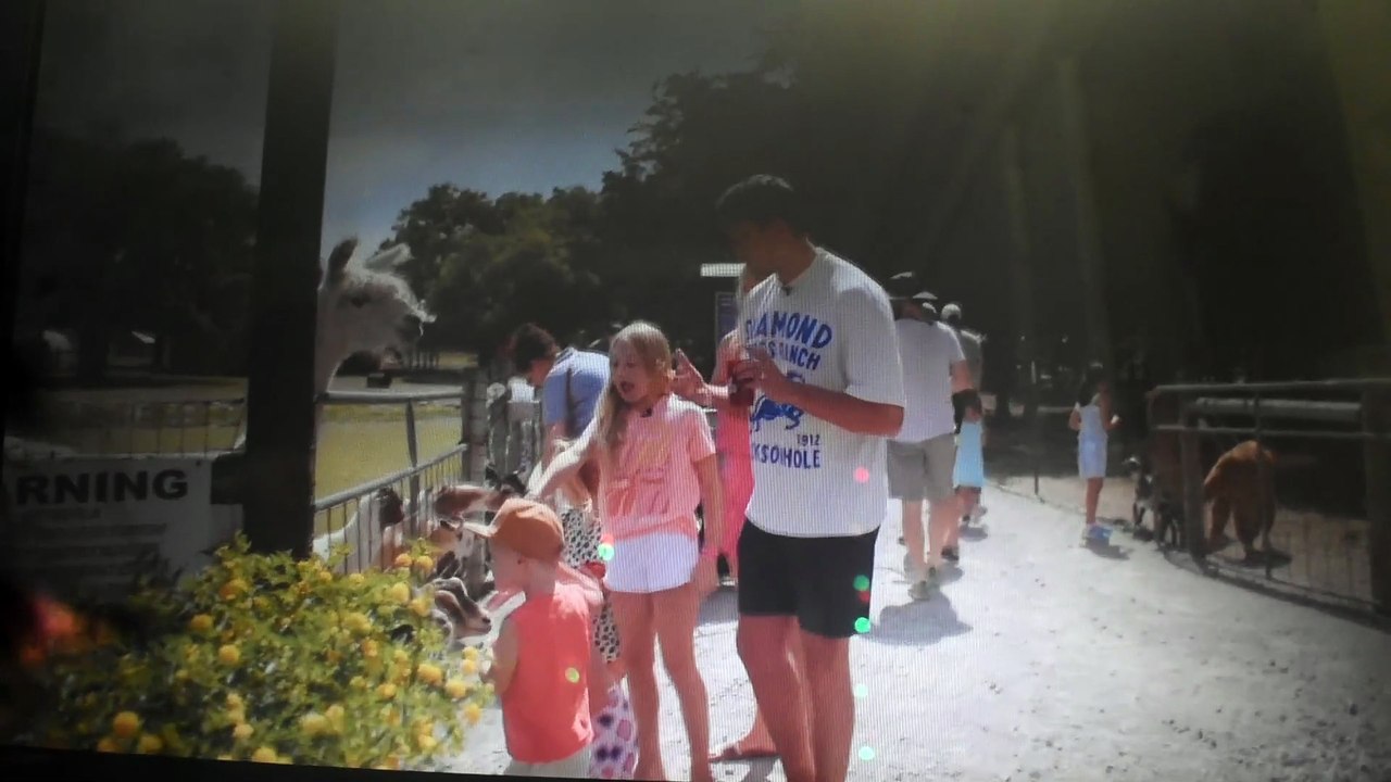 Scarlett Alex Land Lord The Simpsons homer Marge Maggie Lisa Bart part 5