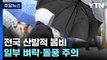 [날씨] 전국 봄비...영남 벼락·돌풍, 강원 산간 '대설주의보' / YTN