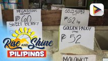 Presyo ng bigas, bumaba at inaasahang patuloy pang bababa