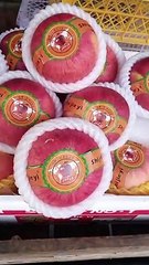 Fuji Apple Or Japan Apple ? 