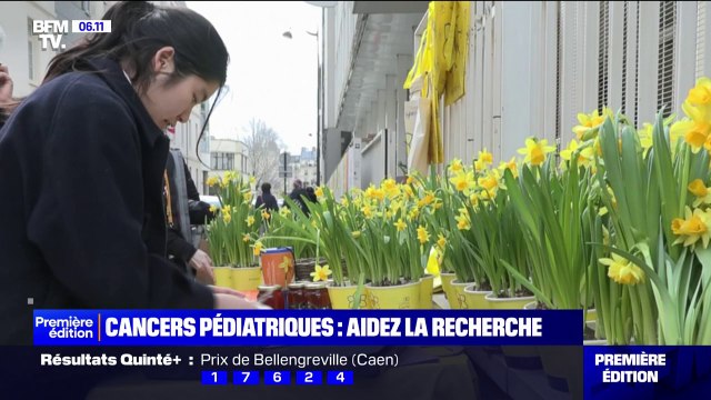 L’Institut Curie lance sa campagne annuelle Une Jonquille Contre le Cancer pour aider la recherche