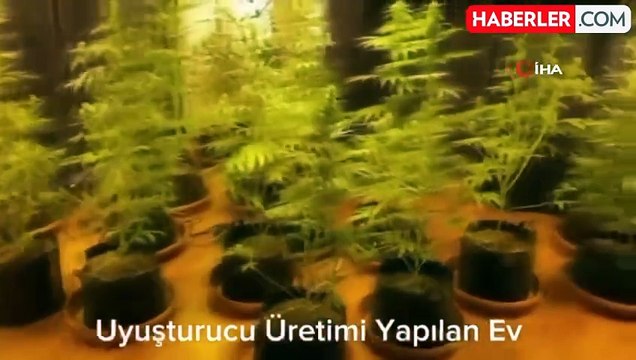 Bakan Yerlikaya: 6 ilde eş zamanlı düzenlenen operasyonda 6 ayrı organize suç örgütü çökertildi