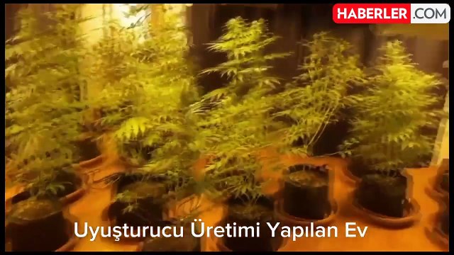 İçişleri Bakanı: 6 Organize Suç Örgütü Çökertildi