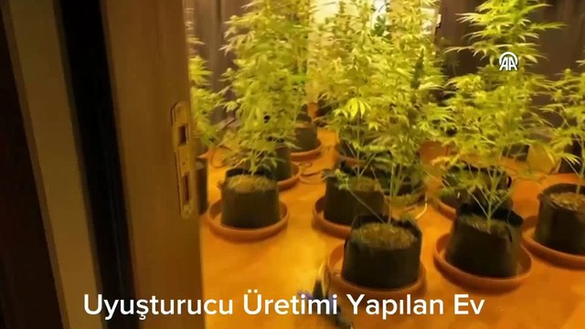 6 organize suç örgütü çökertildi: Uyuşturucu ticareti, tehdit, şantaj, fuhuş...