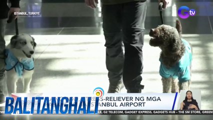 Ilang aso, stress-reliever ng mga pasahero sa Istanbul airport | BT