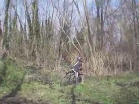 Session freeride wild riders