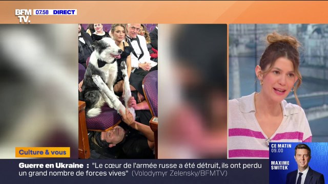 Messi, le chien du film Anatomie d'une chute , n'a pas vraiment applaudi aux Oscars