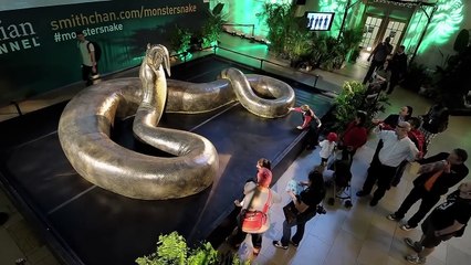 15 Animals that were SCARIER Than Dinosaurs