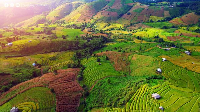 ВОССТАНОВЛЕНИЕ НЕРВНОЙ СИСТЕМЫ Нежная музыка успокаивает нервную систему и радует душу #12