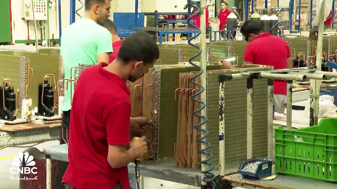 تعويم الجنيه.. الشركات المصرية بين الربح والخسارة