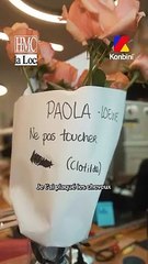 HMC de Paola Locatelli