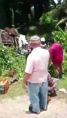 货车相撞致两司机当场遇难 🚚💥