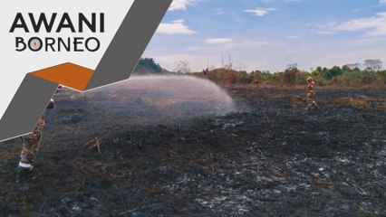 Pembakaran terbuka, kecuaian manusia punca kebakaran hutan