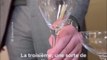 Saint-Valentin : Quand le sommelier Gabriel Del Carlo explique comment bien choisir sa coupe de champagne pour une dégustation optimale. 
