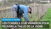 Notre journaliste a testé la taille de la vigne, voici les conseils d'un vigneron pour réussir