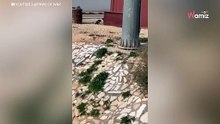 Soldados hacen un llamamiento mundial pidiendo ayuda tras un desgarrador encuentro en el campo (vídeo)