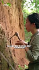 Manfaat Tanah yang mengandung nitrat - Tiongkok kuno __ Sukamikir #faktaunik