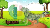 ABC Animals for Children | Learn Alphabet with Animals for Toddlers & Kids | Best learning Video
