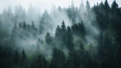 Ados et criminels vidéo bande annonce