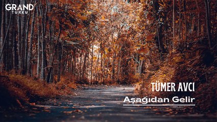 Tümer Avcı - Aşağıdan Gelir (Official Audio)