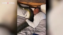 6 metrelik bir anakondayla ''huzur içinde'' uyuduğu anları paylaştı!