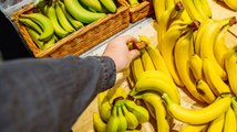 El Precio Del Plátano Se Disparará Si Aumentan Las Temperaturas