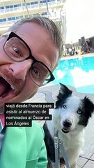 ¡Messi, el perro estrella de la película nominada "Anatomía de una caída"!