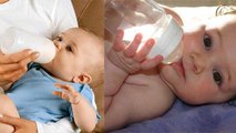 New Parent Guide: Best Feeding Bottles For New Born| Speedex,Phillips,Honey Boo & Others..