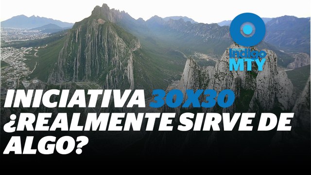 Iniciativas y presupuesto, claves para proteger la biodiversidad | Reporte Indigo