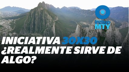 Iniciativas y presupuesto, claves para proteger la biodiversidad | Reporte Indigo