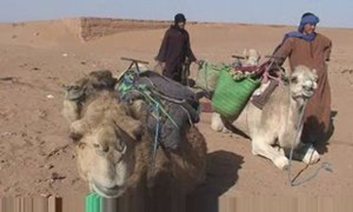 Aux portes du desert