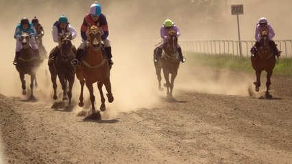 Cheltenham Festival: What to look out for during the four days