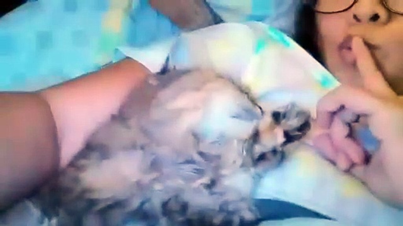 MyMow