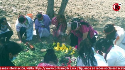 Dark Side of the Mom / Entrevista "Miahuaxochitl"