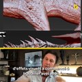 La Demoiselle et le dragon : l'artiste VFX Patrick Tatopoulos raconte la création du monstre